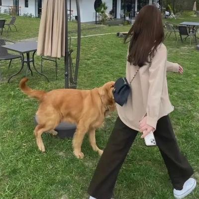 凶案:洛杉矶篇